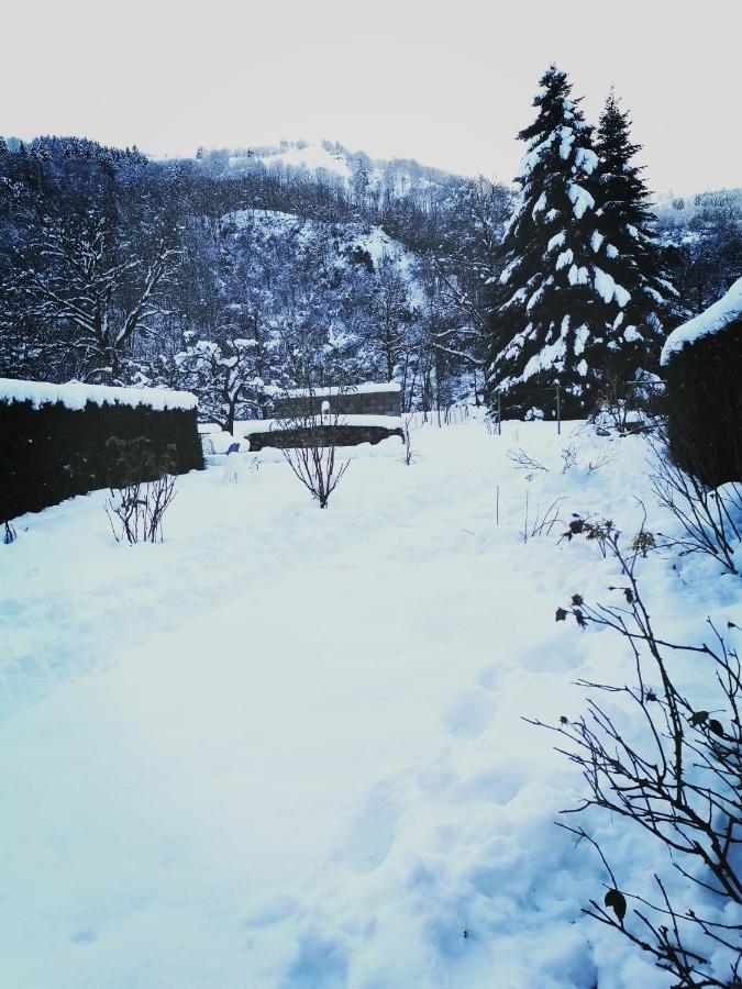 Carpe Diem - cote-montagnes Oderen Exterior foto